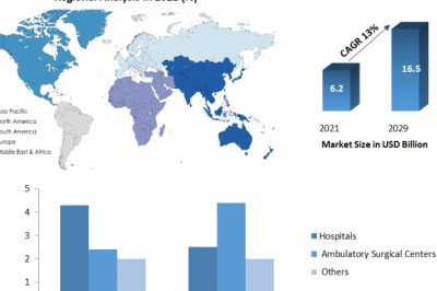 Nerve Repair and Regeneration Market Share, Developments Status, Size, Growth Probability And Forecast To 2029