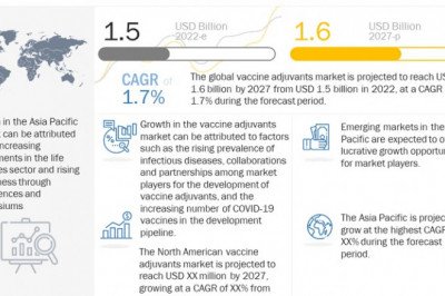 Vaccine Adjuvants Market Extensive Demand and New Developments in Upcoming years 2022-2027