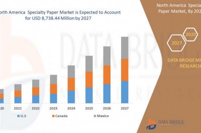 Staying Ahead of the Curve in the North America Specialty Paper Market