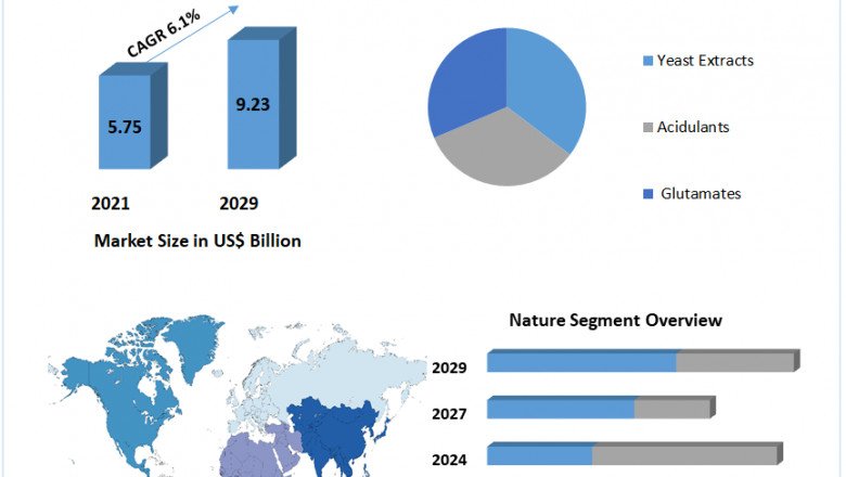 Flavor Enhancer Market Size, Covers Detail Analysis, By Connector, By Application And Forecast 2029