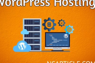 WordPress Hosting Kya Hai ? Best Complete Guide In Hindi 2023 » NS Article