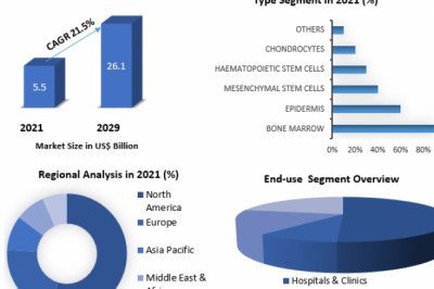 Autologous Cell Therapy Market Size, Top Impacting Factors, Growth Opportunity Assessment And Forecast 2029