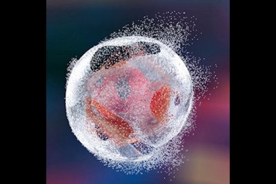 Using Cell Lysis, Protein Can Be Extracted For Various Applications, Such As Enzyme Engineering Or Protein Labeling