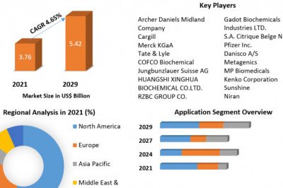 Citric Acid Market Segmentation, Outlook, Industry Report to 2029