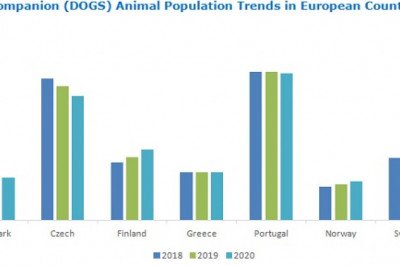 Providing Quality Veterinary Care: Exploring Veterinary Care Market for Asia & Latin America Worth $23 and $9 billion Respectively, by 2025