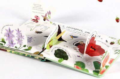 Why Choose Flip Book As Enlightenment Books?