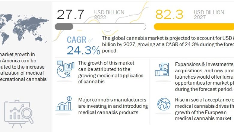 Cannabis Market: Understanding the Current Landscape and Future Opportunities