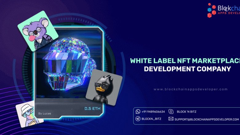 Revolutionize Your Business with a White Label NFT Marketplace: The Ultimate Guide to Development and Launch