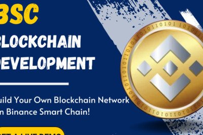 Binance Smart Chain Blockchain Development Is Bound To Make An Impact In Your Business