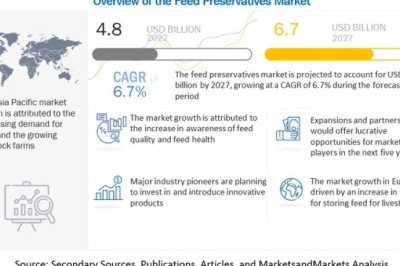 Feed Preservatives Market - Industry Segments, Growth Drivers, Future Trends And Outlook 2027