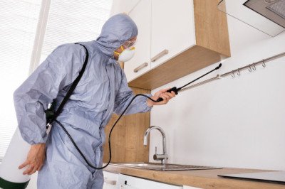 Insect Pest Control Products And Services; Repellants And Insecticides