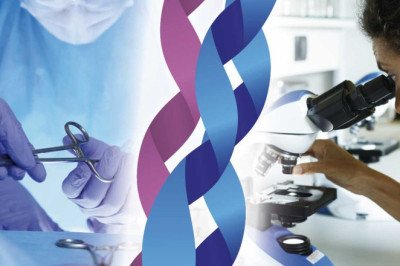 The Versatility of Biomedical Sealant in Various Surgical Applications